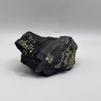 Shungite/pyrite